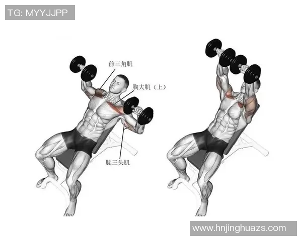 哑铃锻炼胸大肌的有效方法与技巧分享让你轻松塑造完美胸型