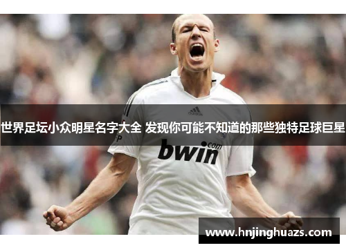 世界足坛小众明星名字大全 发现你可能不知道的那些独特足球巨星